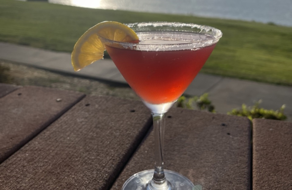 martini in front of douglas lake